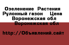 Озеленение. Растения. Рулонный газон. › Цена ­ 1 - Воронежская обл.  »    . Воронежская обл.